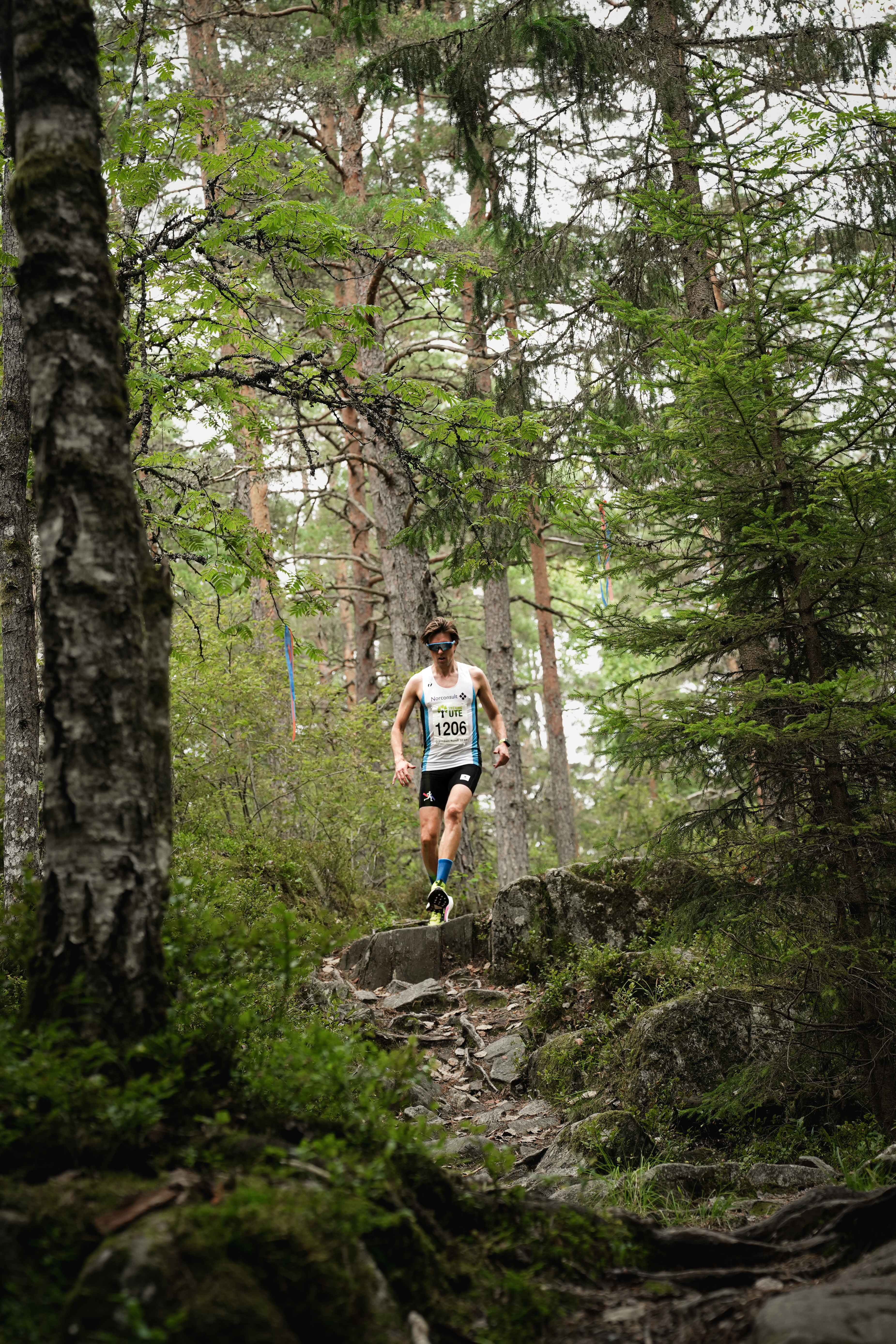 Terrengløper i skogen